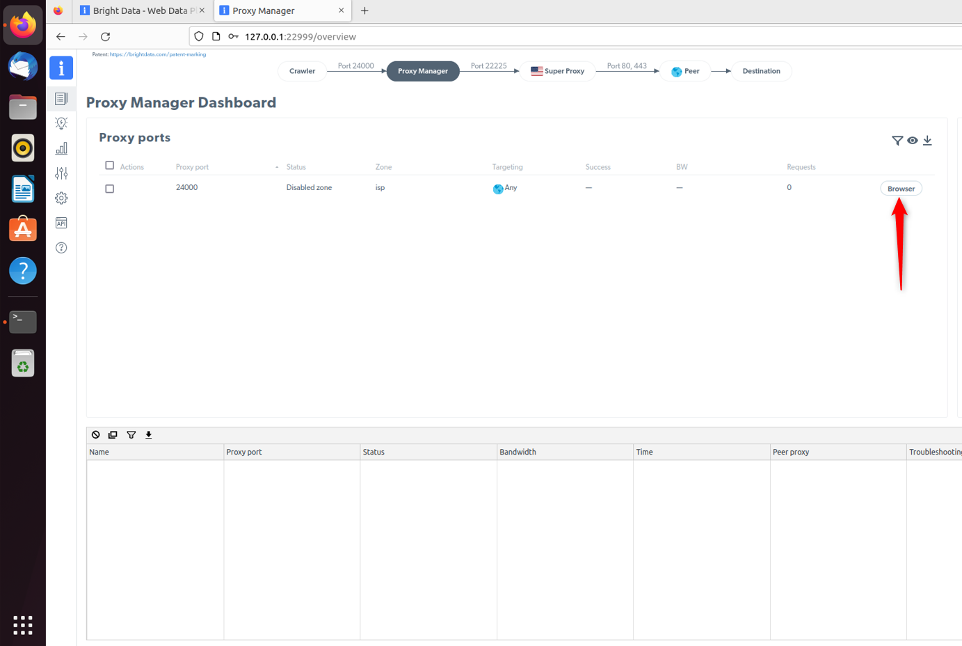 Proxy Manager Dashboard with Proxy Port details.