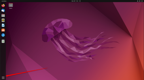 Purple jellyfish wallpaper, Ubuntu desktop, open applications grid.